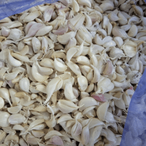 Kodaikanal Uthiri Poondu